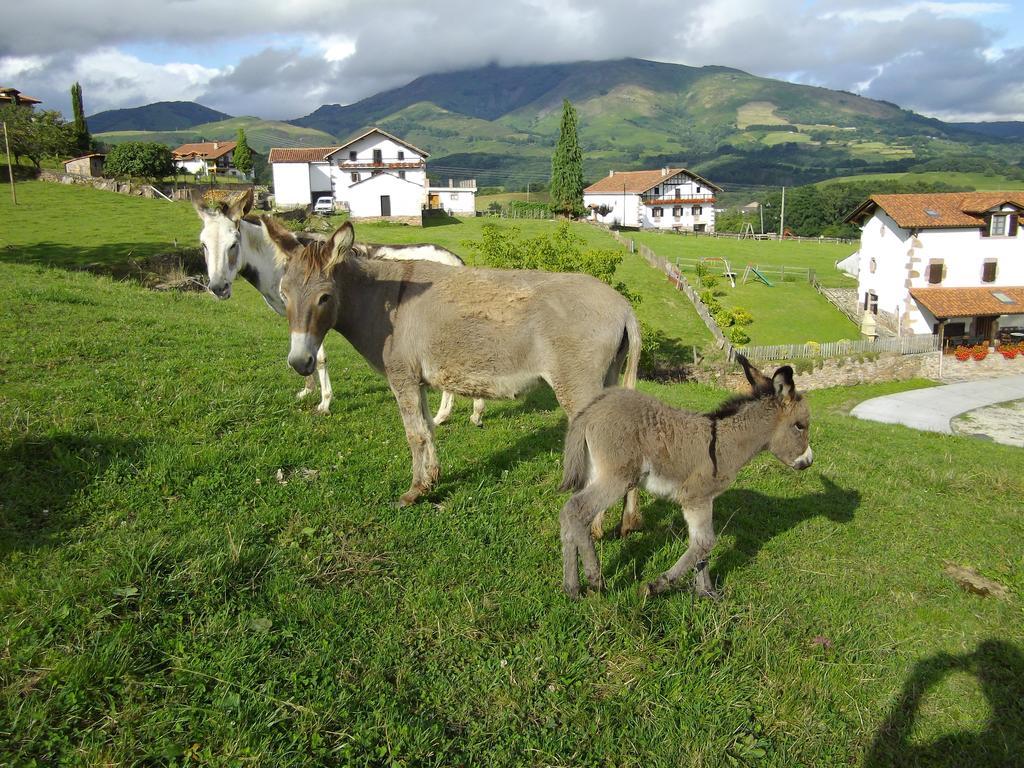 Casa Rural Gananea Zuaztoy de Azpilcueta Phòng bức ảnh